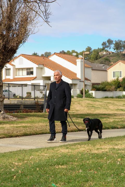 Cesar Millan - Bildquelle: © National Geographic