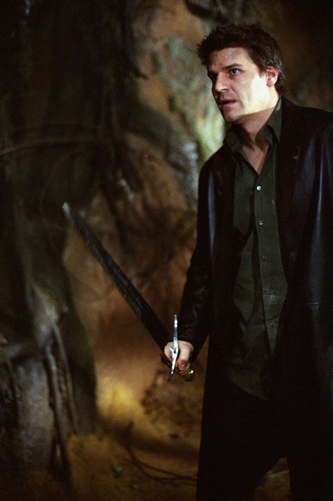 Angel (David Boreanaz) muss gegen ein Baum-Monster antreten. - Bildquelle: 20th Century Fox. All Rights Reserved.