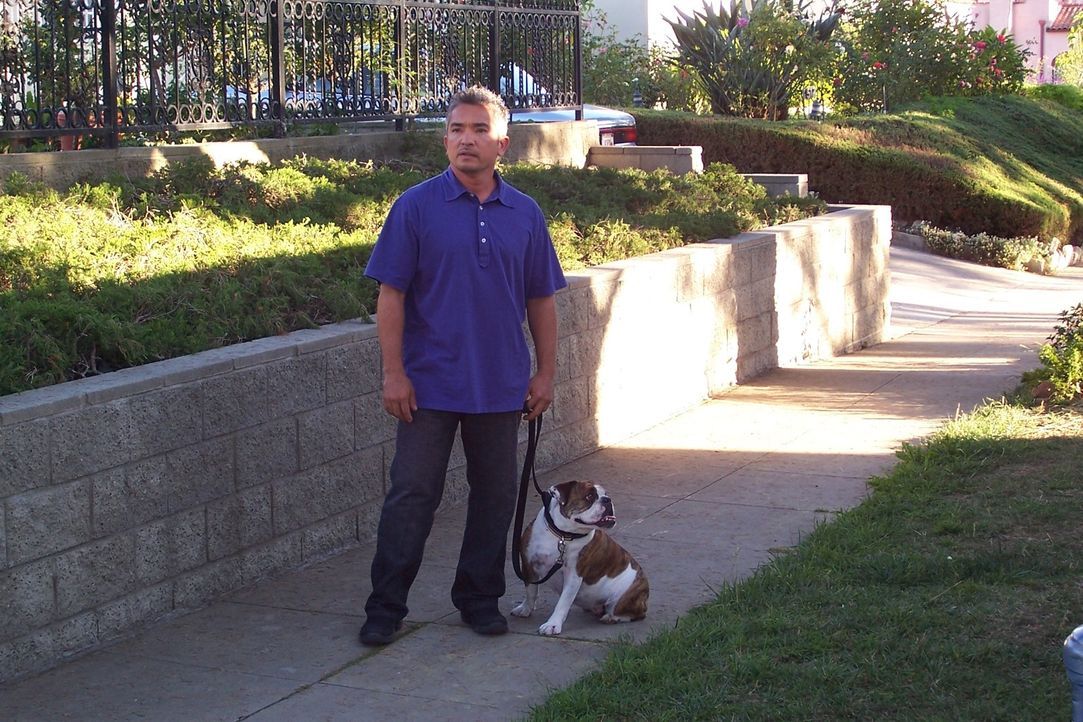 Cesar Millan hatte bereits mit allen Rassen von Hunden und mit vielfältigen Problemen zu kämpfen. Heute kümmert er sich um die dickköpfige Bulldogge... - Bildquelle: Rive Gauche Television