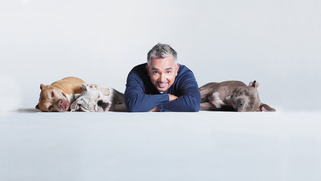 Cesar Millan Auf den Hund gekommen Die ersten Bilder