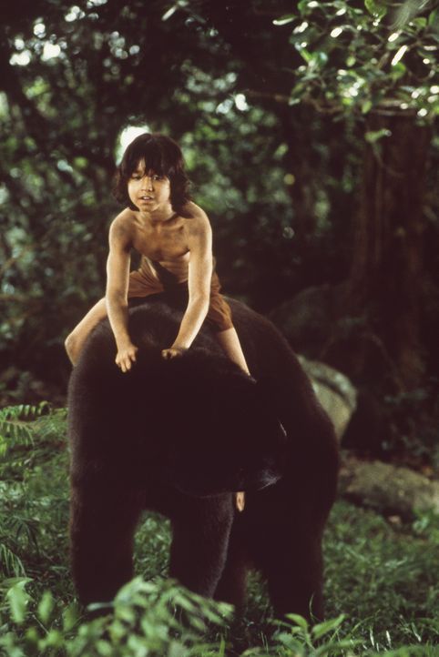 Mowgli (James Williams) und sein großer Freund, der Bär Baloo ... - Bildquelle: MDP WORLDWIDE