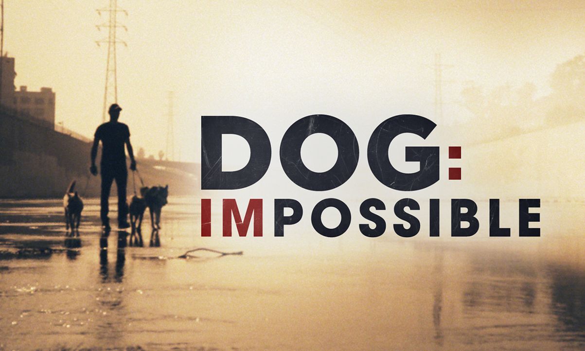 (1. Staffel) - Dog Impossible - Zweite Chance für Hunde - Artwork - Bildquelle: 2019 National Geographic Partners, LLC. All rights reserved.