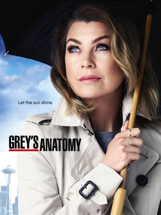 (12. Staffel) - Neues aus dem Leben von Meredith Grey (Ellen Pompeo) und dem Seattle Grace Hospital ... - Bildquelle: ABC Studios