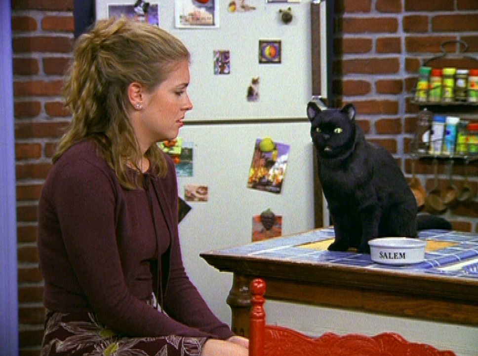 Sabrina (Melissa Joan Hart) ist so eifersüchtig und bittet deshalb ihren Kater Salem um Hilfe ... - Bildquelle: Paramount Pictures