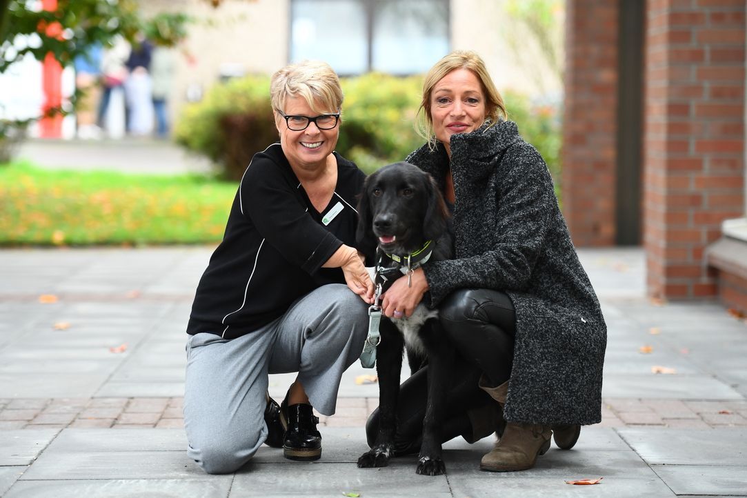 Hundetrainerin Sabine Hulsebosch (r.) findet in einem Tierheim Nero - sie möchte den verspielten Hund speziell für Silvias (l.) Bedürfnisse und Eins... - Bildquelle: Willi Weber SAT.1 / Willi Weber