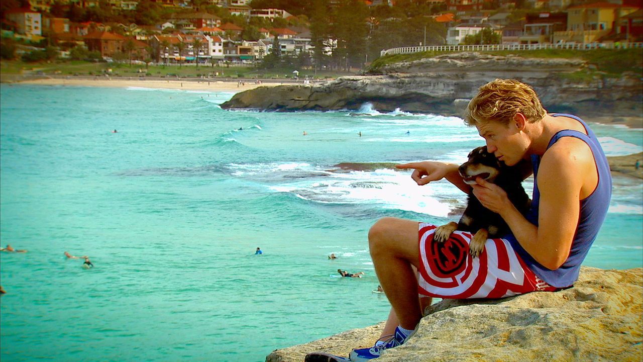 Dr. Chris Brown ist Tierarzt am berühmten Bondi Beach. Zusammen mit seinem Hund Rusty verbringt er möglichst viel Zeit am bekanntesten Strand Austra... - Bildquelle: Network Ten, Australia