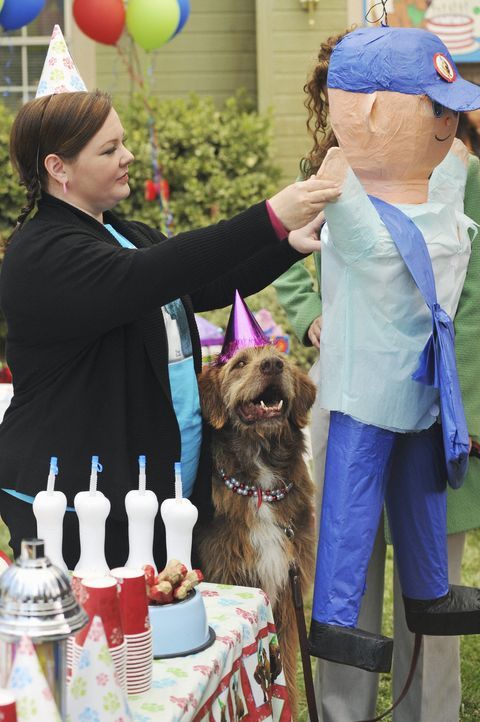 Schmeißt eine Geburtstagsparty für ihren Hund Mr. Cellophane: Dena (Melissa McCarthy) ... - Bildquelle: 2008 American Broadcasting Companies, Inc. All rights reserved.