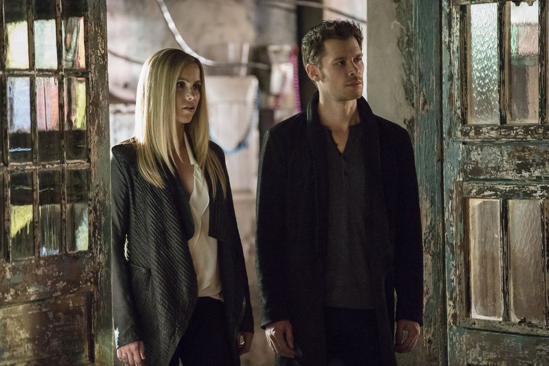 Als Rebekah (Claire Holt, l.) und Kol erfahren, dass Elijah und damit seine ganze Blutlinie ausgelöscht wurden, machen sie sich auf den Weg zurück z... - Bildquelle: 2016 Warner Brothers