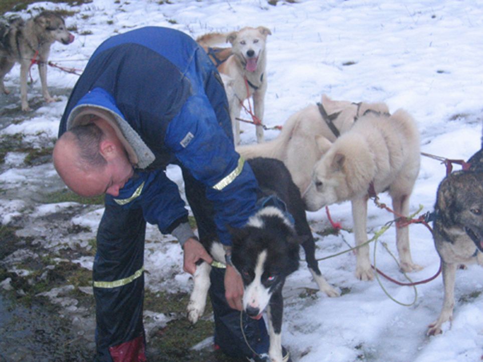Andreas M. lässt sein sicheres Leben in Deutschland zurück, um in der einsamen Wildnis Norwegens, als Hundeschlitten-Führer zu arbeiten. - Bildquelle: ProSieben