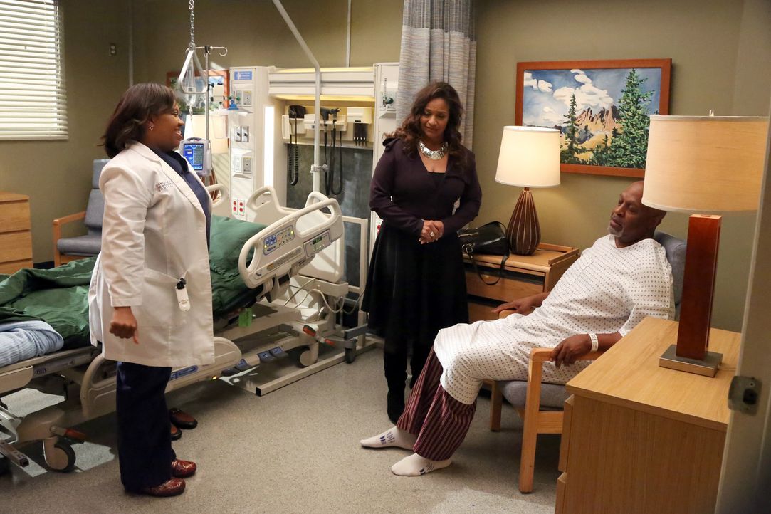 Bailey (Chandra Wilson, l.) ist über den Zustand von Dr. Webber (James Pickens Jr.,r.) beunruhigt. Catherine (Debbie Allen, M.) will ihn schließli... - Bildquelle: ABC Studios