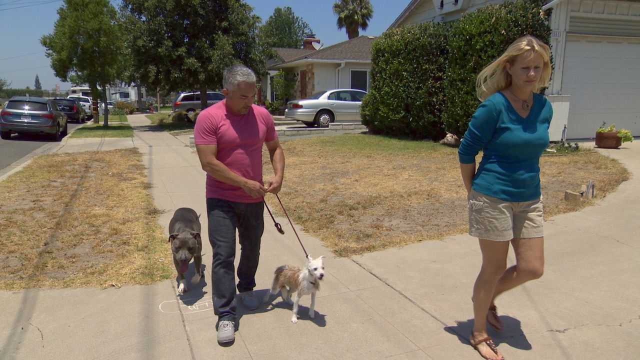Karen (r.) und ihre Familie stehen vor einem großen Problem: Ihr Hund Toby sorgt für Stress in der Nachbarschaft, aber sollten sie den Hund weggeben... - Bildquelle: National Geographic Channels