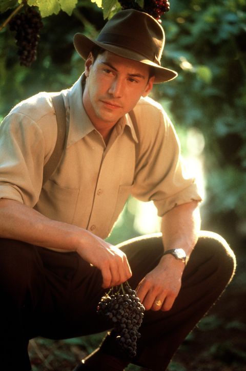 Von der Kakaobohne zur Weintraube: Schokoladenvertreter Paul Sutton (Keanu Reeves) verliebt sich ausgerechnet in die Tochter eines Winzers ... - Bildquelle: 20th Century Fox