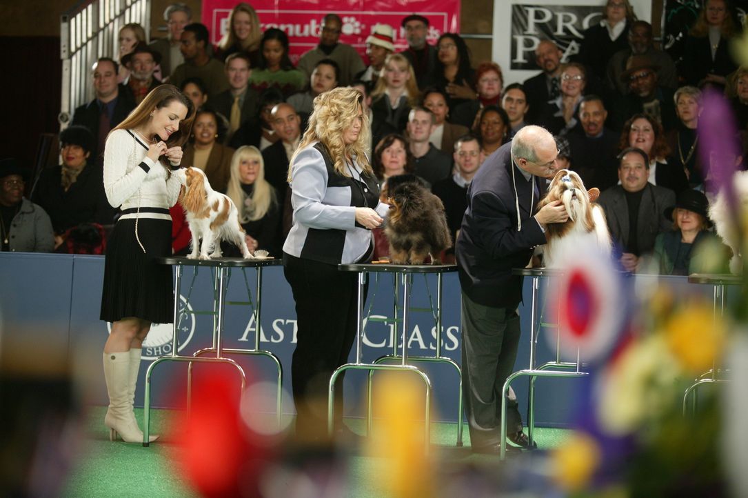 Bei der Hundschau schneiden Charlotte (Kristin Davis, l.) und "Elizabeth Taylor" gut ab ... - Bildquelle: Paramount Pictures