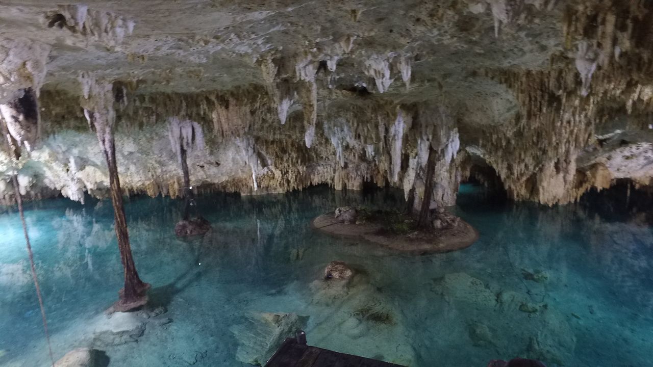 Der "Cenote Pet Cemetery" in Tulum, Mexico, ist Teil des zweitlängsten Unterwasserflusssystems der Welt. Er ist tief im Wald versteckt und stellt fü... - Bildquelle: 2016,The Travel Channel, L.L.C. All Rights Reserved