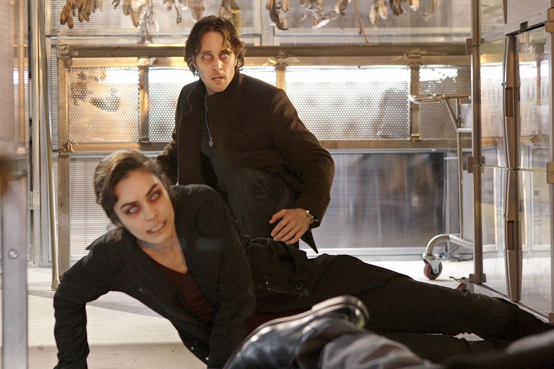 In letzter Sekunde kann Mick (Alex O'Loughlin, hinten) seine Ex-Frau Coraline (Ahannyn Sossamon, vorne) vor dem brutalen Vampir Lance retten. Doch d... - Bildquelle: Warner Brothers