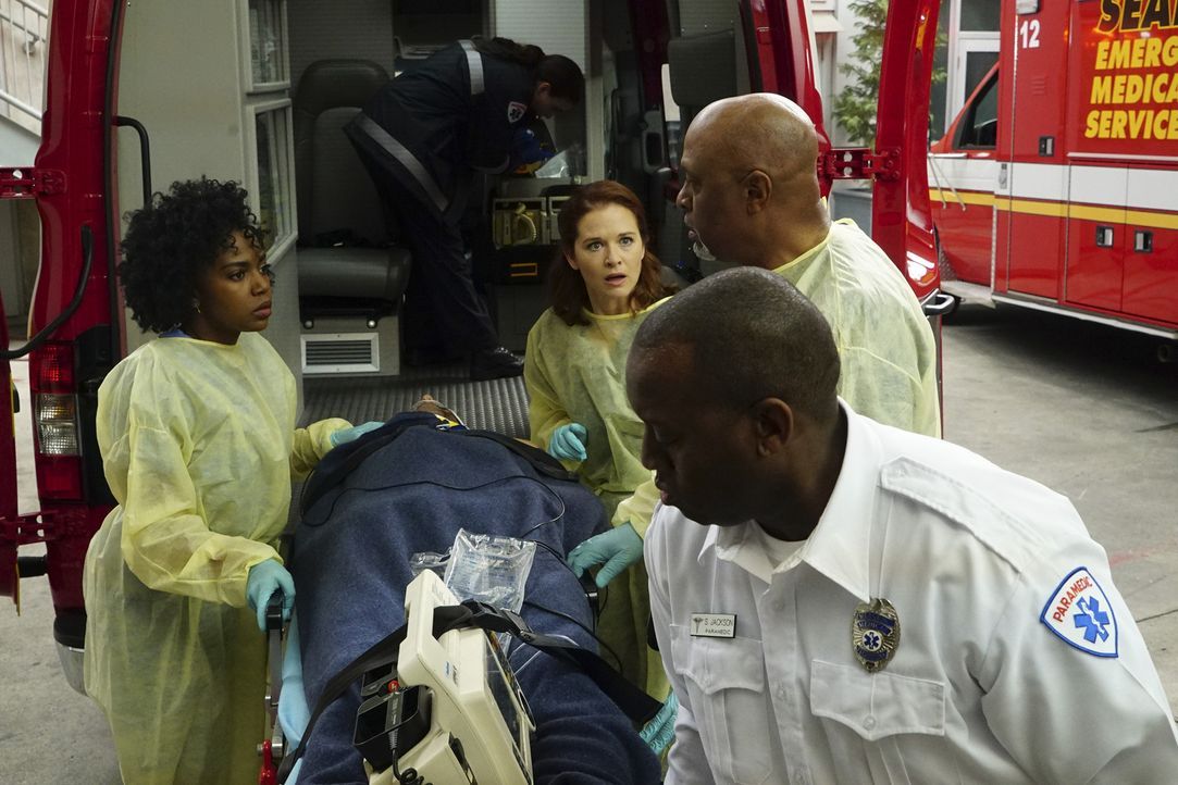 Familie McKay wird ins Krankenhaus eingeliefert. Die Ärzte um Stephanie (Jerrika Hinton, l.), April (Sarah Drew, 3.v.r.) und Webber (James Pickens J... - Bildquelle: Richard Cartwright ABC Studios