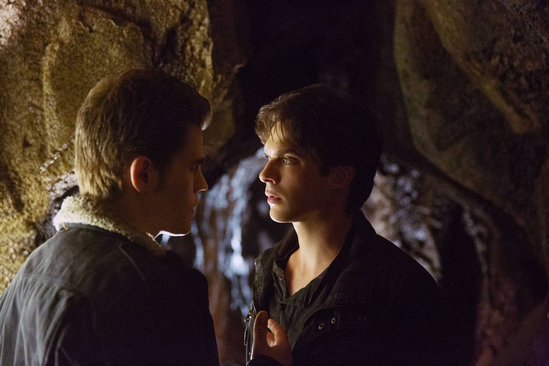 Als Stefan (Paul Wesley, l.) seinen Bruder Damon (Ian Somerhalder, r.) bittet, Elena zu helfen, hat er ganz sicher nicht das gemeint, was Damon schl... - Bildquelle: Warner Brothers