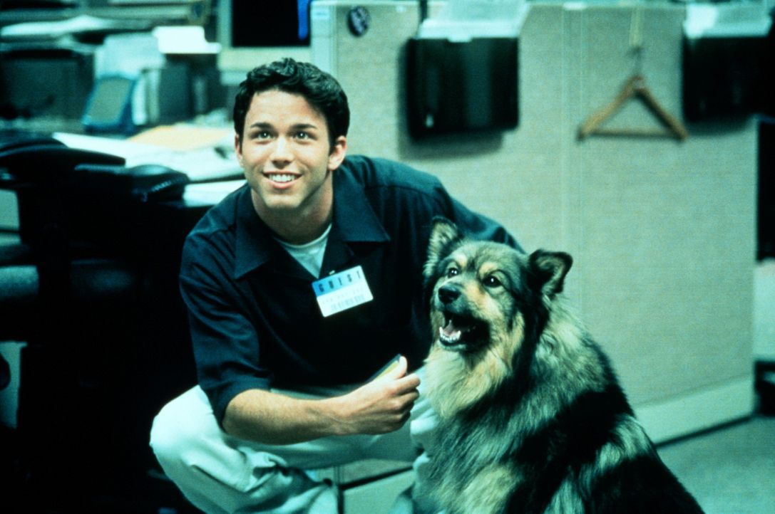 Andrew (Pete Jackson) und sein treuer Hund geraten in ein gefährliches Abenteuer ... - Bildquelle: Kushner-Locke Company
