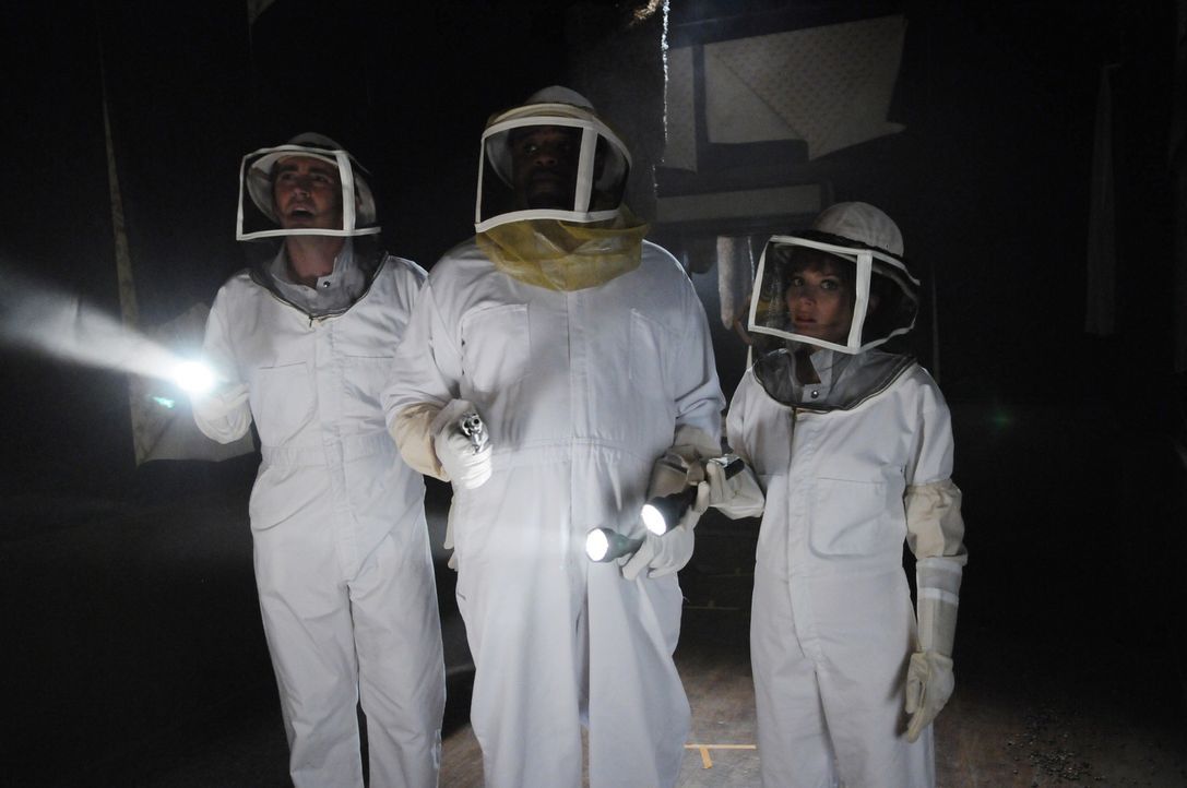 Kentucky Fitz, eine Angestellte von Betty's Bienen, ist gestorben: Ein Bienenschwarm hat sie zu Tode gestochen. Chuck (Anna Friel, r.), Ned (Lee Pac... - Bildquelle: Warner Brothers