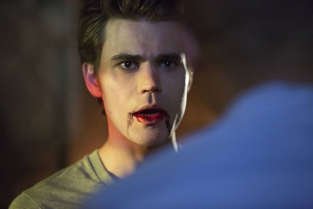 Stefan ist zurück - Bildquelle: Warner Bros. Entertainment Inc. 