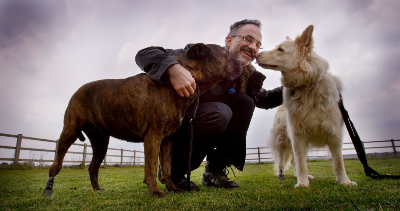 (1. Staffel) - Diesen beiden Hunden konnte Noel Fitzpatrick dank modernster Techniken und unglaublichen Prothesen schon helfen ... - Bildquelle: Zodiak Rights 2015