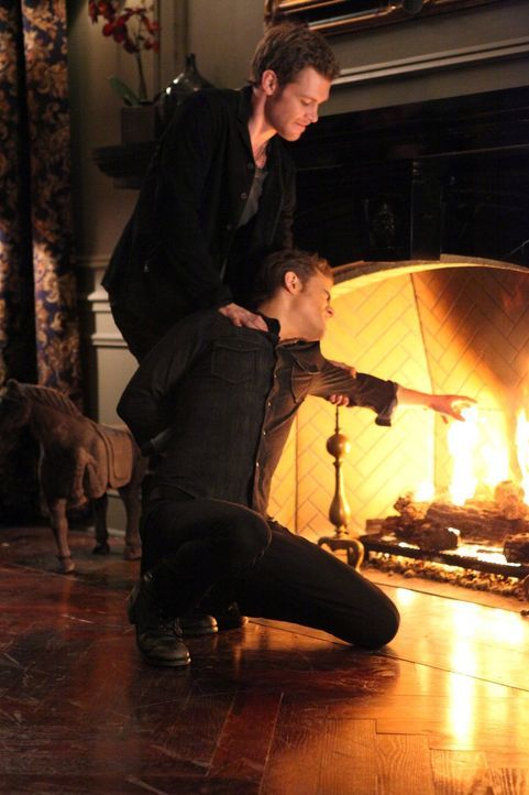Klaus (Joseph Morgan, l.) hat nach wie vor die Macht über Stefan Salvatore (Paul Wesley, r.) ... - Bildquelle: Warner Brothers