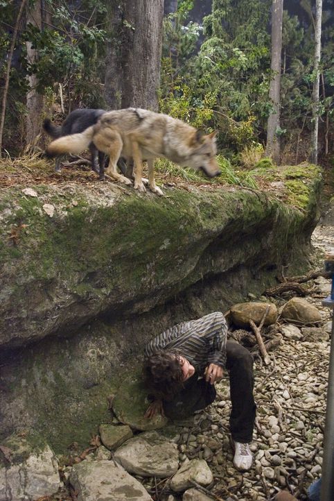 Als der Werwolffamilie deutlich wird, dass Vivian nicht bereit ist, Aiden (Hugh Dancy) aufzugeben,. wollen sie seinen Tod - um jeden Preis ... - Bildquelle: 2007 Kinowelt GmbH