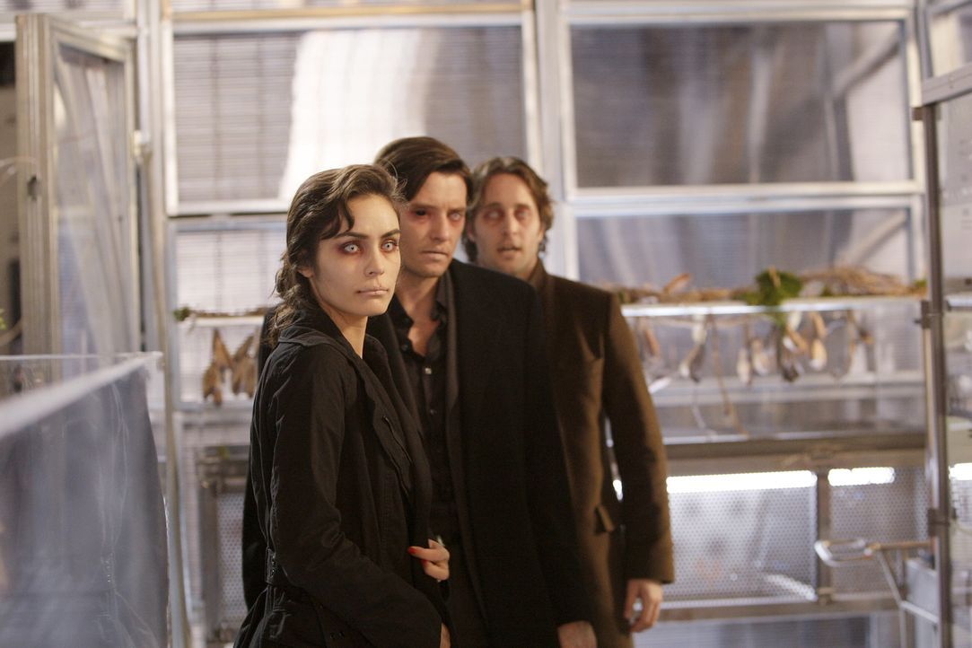 Wenn Vampire ihren Durst stillen müssen, ist niemand vor ihnen sicher: Mick (Alex O'Loughlin, hinten), Lance (Jason Butler Harner, M.) und Coraline... - Bildquelle: Warner Brothers