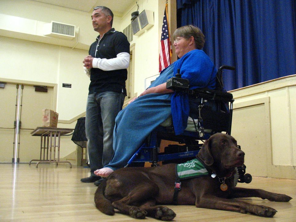 Labrador Beau ist eine große Stütze für sein Frauchen Anita Brandenburg (r.), die durch eine Nerven- und Muskelerkrankung an den Rollstuhl gefesselt... - Bildquelle: Rive Gauche Intern. Television