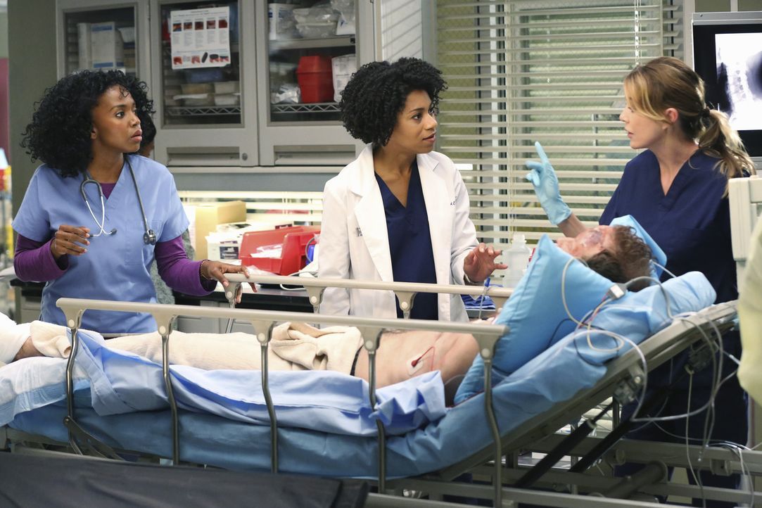 Pierce (Kelly McCreary, M.) und Meredith (Ellen Pompeo, r.) scheinen auch in Patientenfrage nicht einer Meinung zu sein, Dr. Stephanie Edwards (Jerr... - Bildquelle: ABC Studios