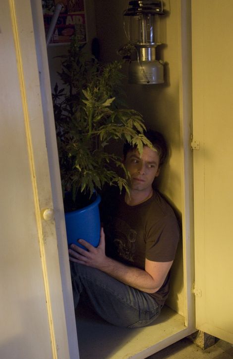 Aus lauter Angst von der Polizei, hat sich Andy (Justin Kirk) einen sichern Platz gesucht ... - Bildquelle: Lions Gate Television