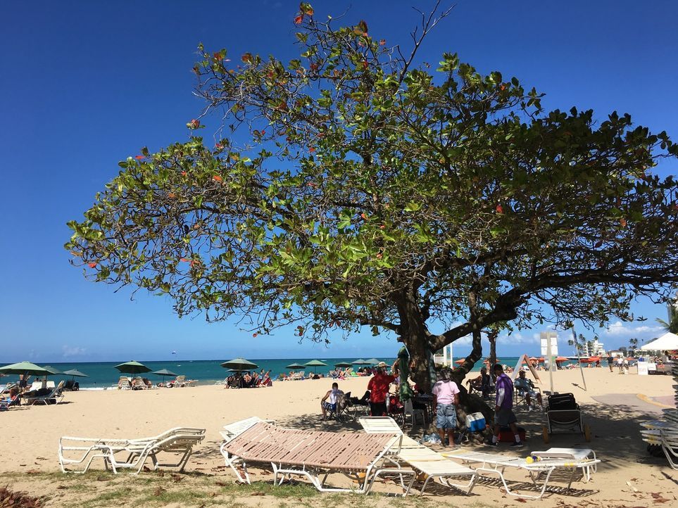 Der Puntas Beach liegt ca. eine Stunde von San Sebastian an der Westküste Puerto Ricos und bietet sowohl Wellen zum Surfen als auch romantische Sonn... - Bildquelle: 2016, The Travel Channel, L.L.C. All Rights Reserved