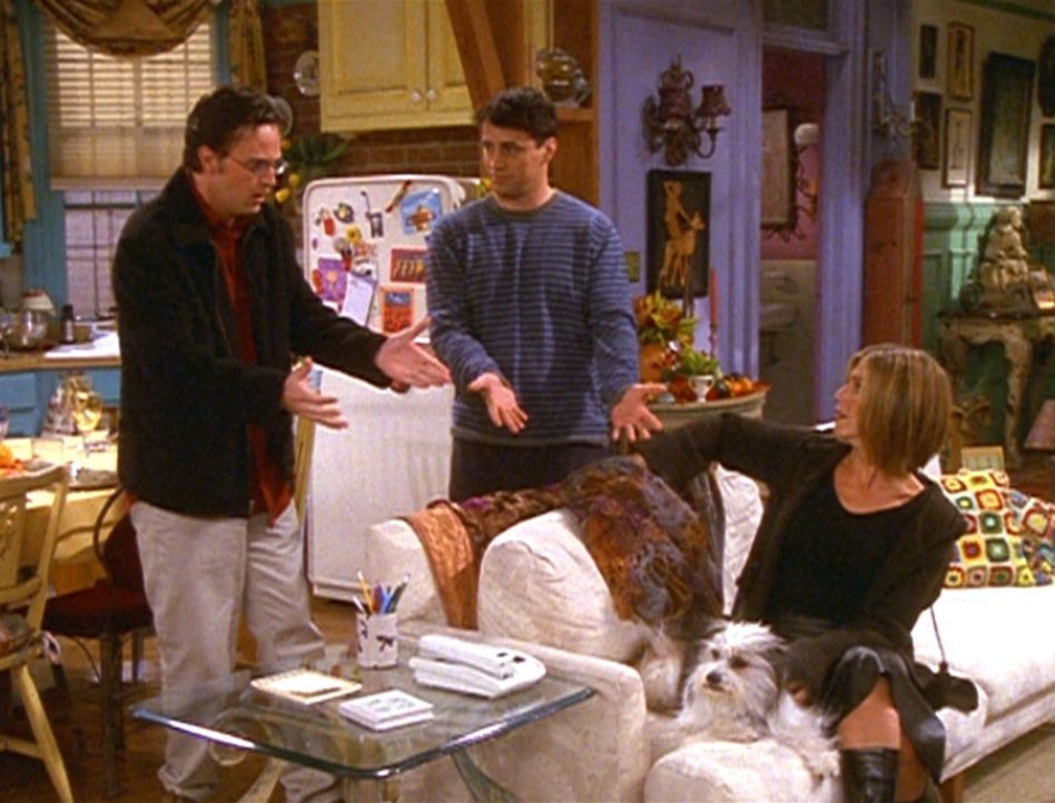 Chandler (Matthew Perry, l.) ist im Gegensatz zu seinen Freunden gar nicht begeistert darüber, einen Hund um sich zu haben. - Bildquelle: TM+  2000 WARNER BROS.