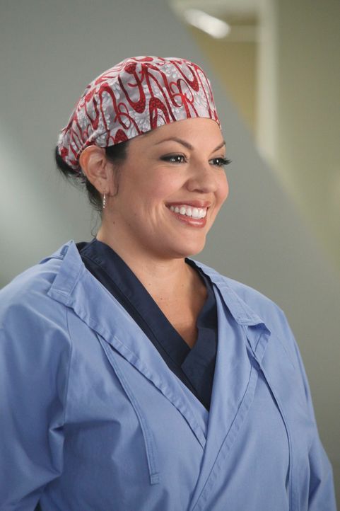 Während Arizona alles tut, um Callie (Sara Ramirez) zurück zu bekommen, bekommen die Assistenzärzte neue Medizinstudenten zugeteilt, die ihnen über... - Bildquelle: ABC Studios