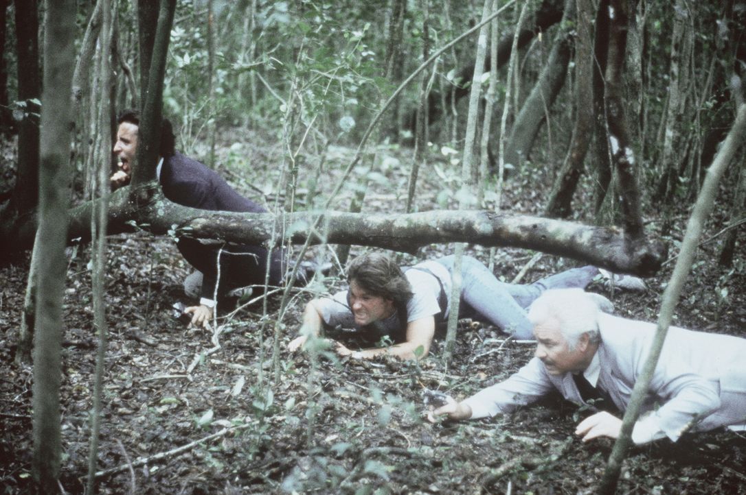 Malcolm (Kurt Russell, M.) und sein Kollege Wilson (Richard Bradford, r.) verfolgen den Killer in den Everglades ... - Bildquelle: Orion Pictures Corporation