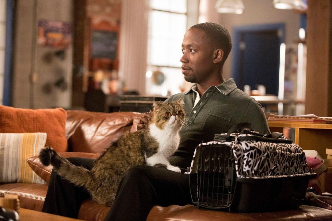Als ob Daisys Fremdgehen nicht genug wäre, jetzt hat Winston (Lamorne Morris) auch noch deren Katze am Hals ... - Bildquelle: TM &   2013 Fox and its related entities. All rights reserved.
