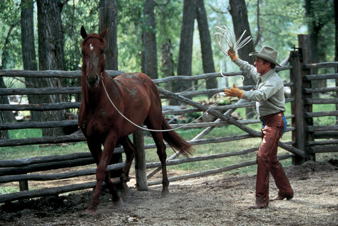 Der Pferdeflüsterer Tom Booker (Robert Redford) versucht, das verstörte Pferd Pilgrim zu heilen - doch wird es ihm gelingen? - Bildquelle: Touchstone Pictures