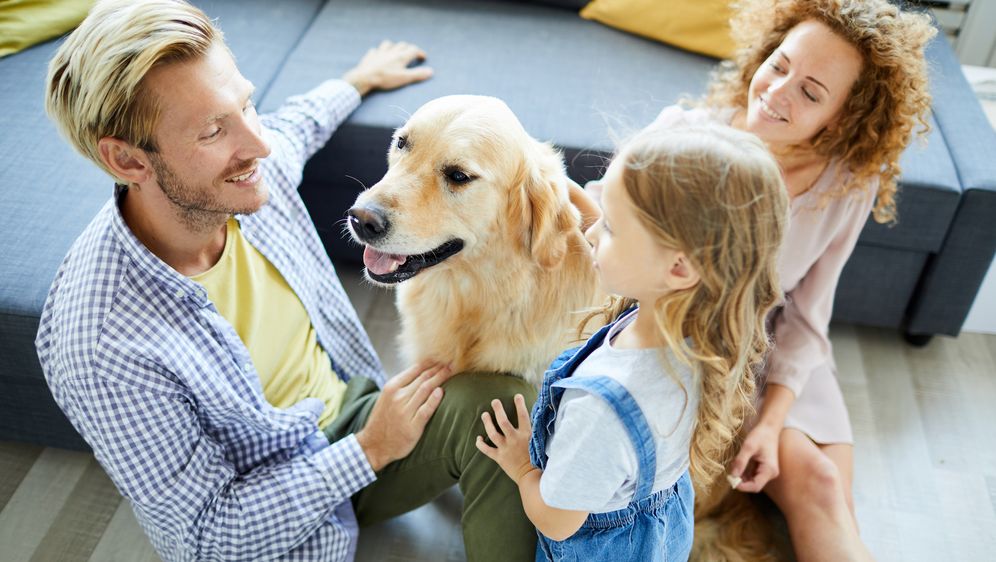 Personality-Test: Welcher Hund passt zu dir?