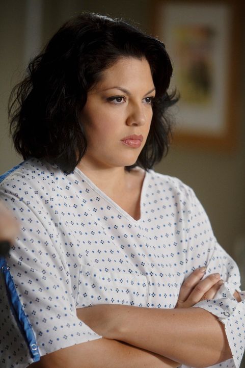 Callie (Sara Ramirez) ist von Mark schwanger. Da Mark unbedingt Kinder haben will und Callie seine beste Freundin ist, steht für ihn außer Frage, si... - Bildquelle: ABC Studios