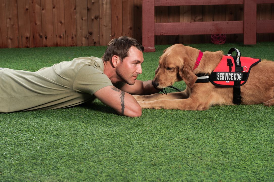 (2. Staffel) - Auf seiner Lucky Dog-Ranch stellt sich Brandon McMillan der scheinbar unmöglichen Aufgabe, längst aufgegebene Tiere zu trainieren und... - Bildquelle: 2013 Jaime Klein