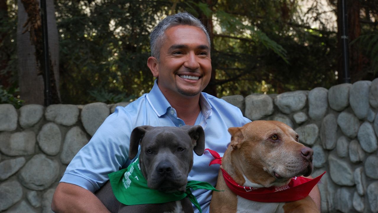 Cesar Millan Der Hundeflusterer Cesar Feiert 100 Folgen Hundeflusterer Sixx