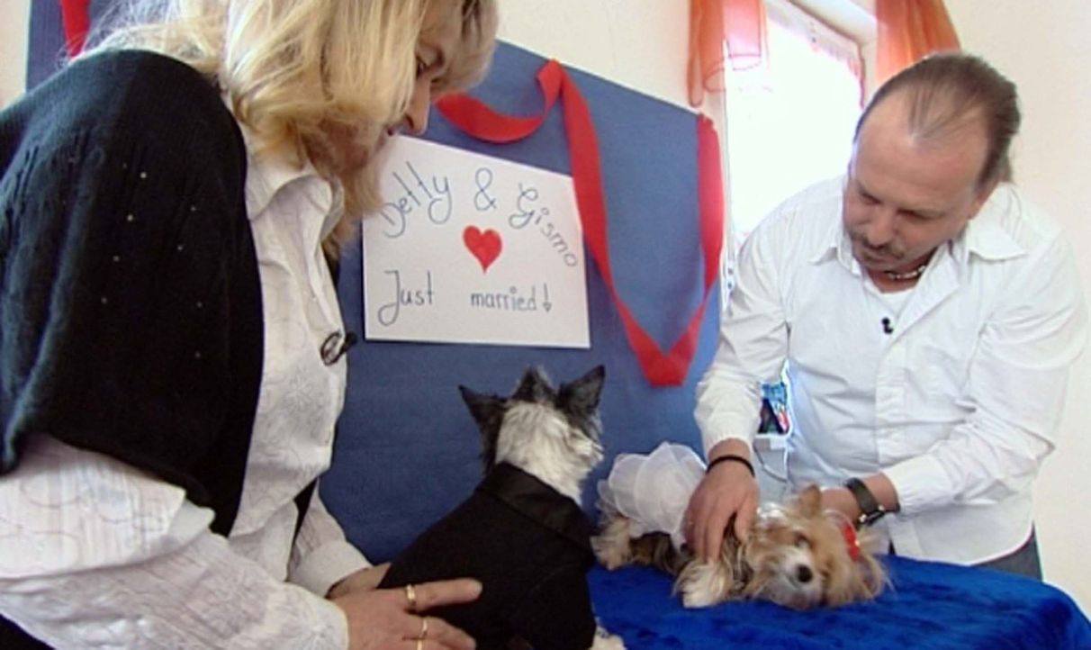 Lisa (18) ist auf ihre Mama stinksauer: Mutter Susi (45) kümmert sich den ganzen Tag nur um ihre 13 Yorkshire-Terrier. - Bildquelle: ProSieben