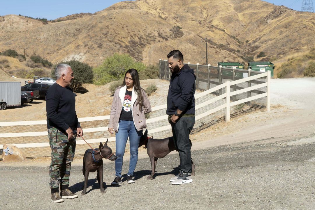 (v.l.n.r.) Cesar Millan; Erica; Tony - Bildquelle: © National Geographic