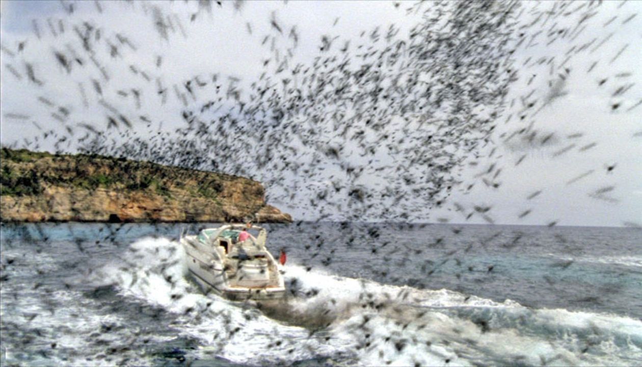 Auf der schönen Balearen-Insel Mallorca attackieren aggressive Bienenschwärme Menschen und Tiere. - Bildquelle: Wasabi Film/TRIXTER Sat.1