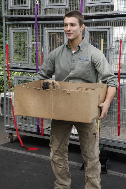 Bei der freiwilligen Sozialarbeit im Tierheim lernt Casey Jonah (Jerad Anderson) kennen, der ihr schockierende Neuigkeiten mitteilt ... - Bildquelle: ABC Family