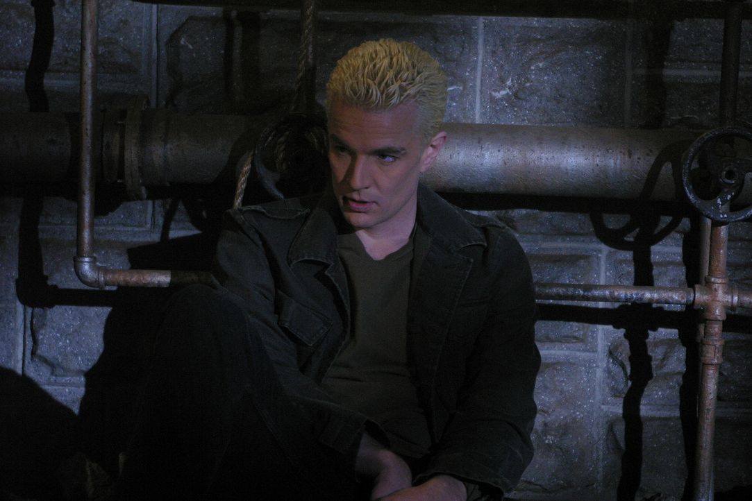 Giles nimmt fälschlicher Weise an, dass die Liebe zu Spike (James Marsters), Buffys Fähigkeit zu Entscheidungen vernebelt ... - Bildquelle: TM +   Twentieth Century Fox Film Corporation. All Rights Reserved.