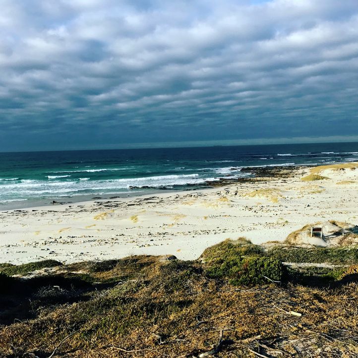 Der Platboom Beach am Kap der guten Hoffnung in Südafrika ist noch weitgehend unentdeckt ... - Bildquelle: 2017,The Travel Channel, L.L.C. All Rights Reserved