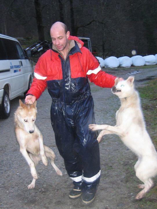 Andreas M. lässt sein sicheres Leben in Deutschland zurück, um in der einsamen Wildnis Norwegens, als Hundeschlitten-Führer zu arbeiten. - Bildquelle: ProSieben