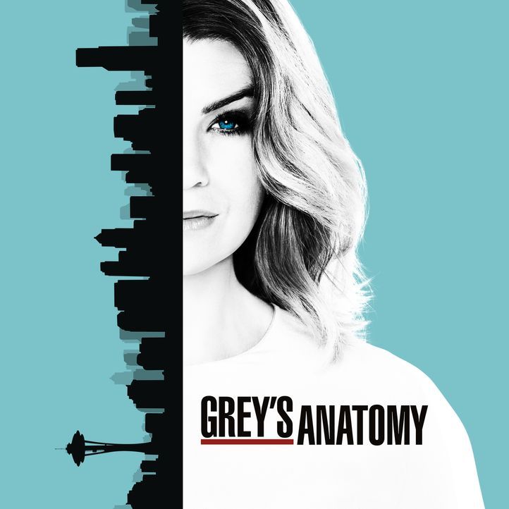 (13. Staffel) - Neues aus dem Leben von Meredith Grey (Ellen Pompeo) und dem Seattle Grace Hospital ... - Bildquelle: 2016 American Broadcasting Companies, Inc. All rights reserved.