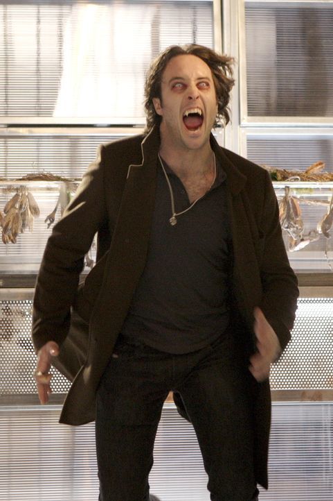 Entschlossen und energisch: Mick (Alex O'Loughlin) kämpft für seine Verwandlung zurück in einen Menschen ... - Bildquelle: Warner Brothers